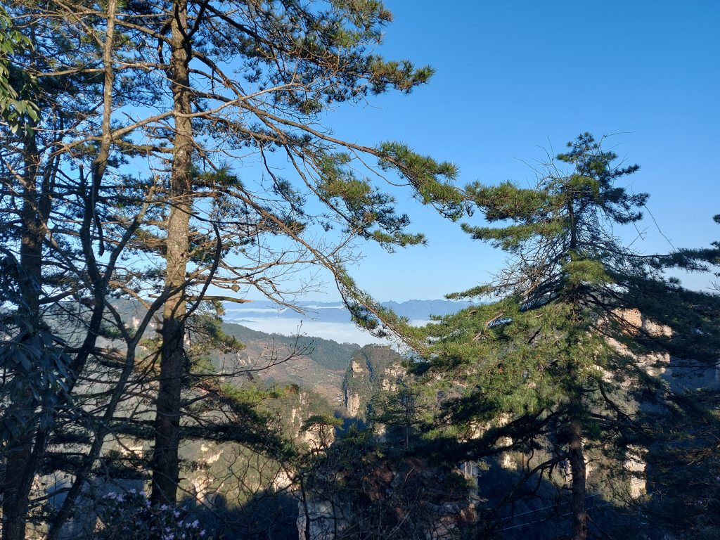 mindful walk mindful walk